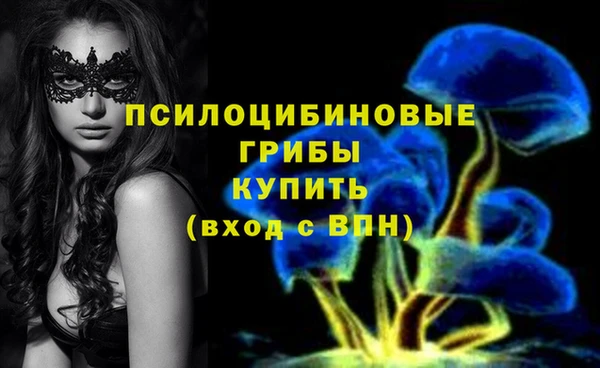 амф Балахна